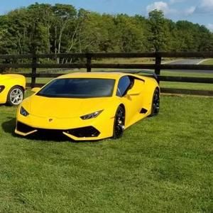 Meet your Posher, Ronnie